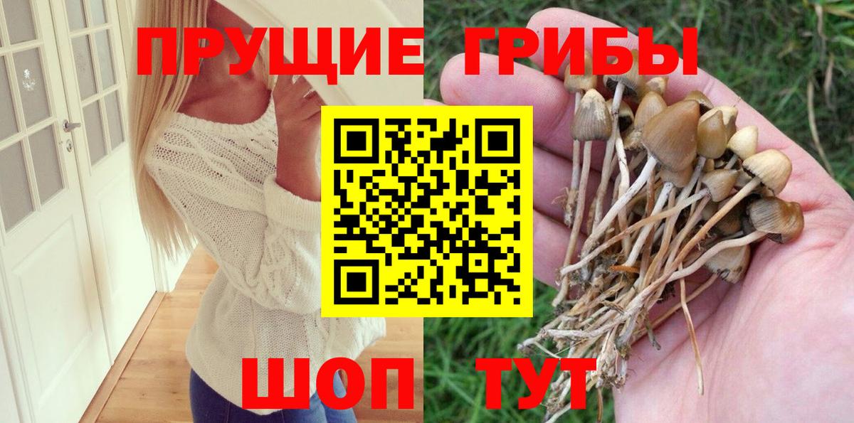 Новокубанск  Псилоцибиновые грибы Psilocybine cubensis  Галлюциногенные грибы Cubensis  Вход с VPN 