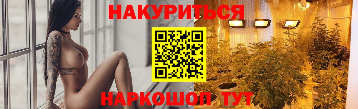 Бошки Шишки Bruce Banner  Бошки Шишки индика  Новокубанск  Вход с VPN  МАРИХУАНА семена 